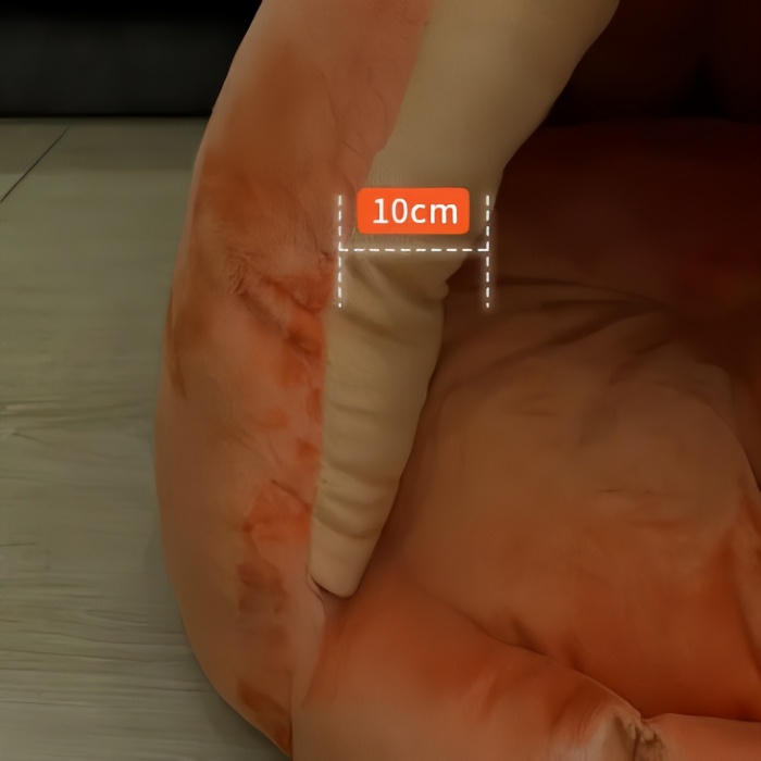 A Semi-enclosed Pumpkin-shaped Super-soft Pet Cat Bed House Nest  